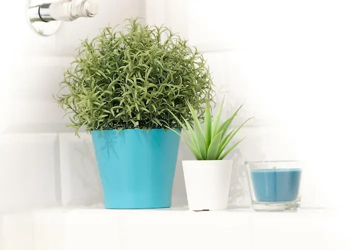 Apartment Retro House - Stayinwroclaw Wroclaw